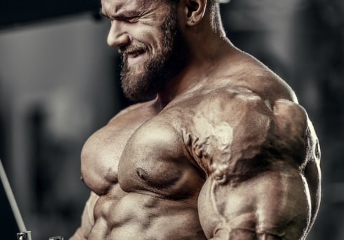 How to gain muscle most effectively?
